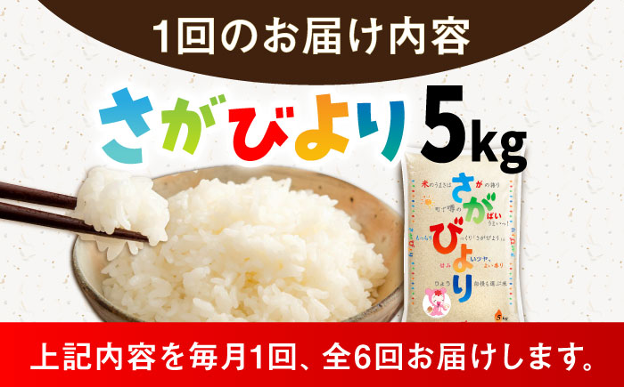 【6回定期便】令和7年産 新米 さがびより 白米 5kg /JA食糧さが [UDS006]
