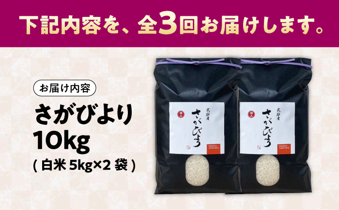 【3回定期便】武雄市産 さがびより 白米 10kg（5kg×2袋） /株式会社 y's company（utsu和ya） [UDX026]