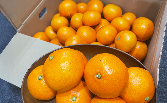 武雄産棚田みかん 10kg ご家庭用（S～Lサイズ混合） /株式会社 y’s company（utsu和ya） [UDX028]果物 柑橘