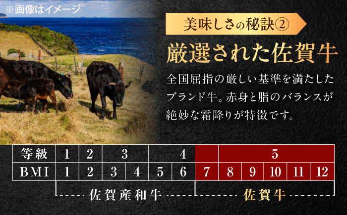 【12回定期便】佐賀牛 ヒレ シャトーブリアン 400g（200g×2枚） /MKミート武雄 [UEM015]