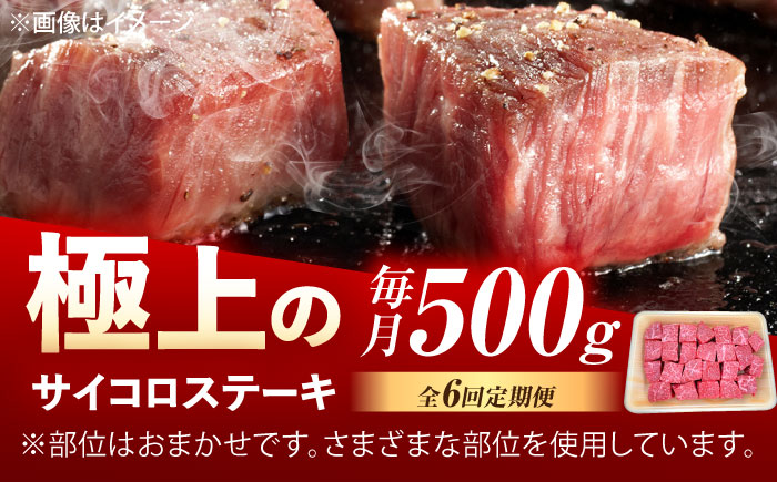 【6回定期便】佐賀牛 サイコロステーキ 500g /MKミート武雄 [UEM026]