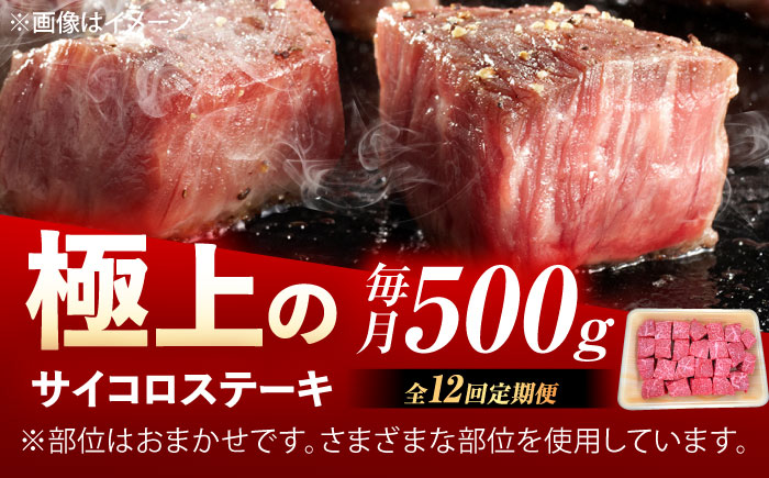 【12回定期便】佐賀牛 サイコロステーキ 500g /MKミート武雄 [UEM027]