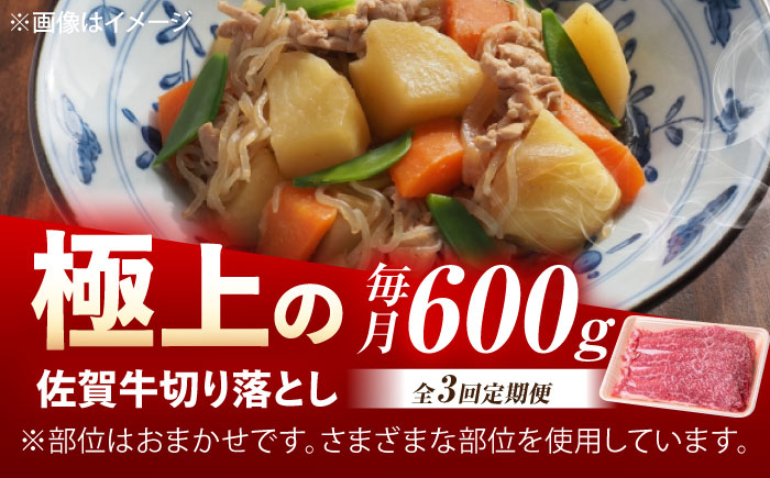 【3回定期便】佐賀牛 切り落とし 600g /MKミート武雄 [UEM031]