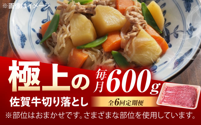 【6回定期便】佐賀牛 切り落とし 600g /MKミート武雄 [UEM032]