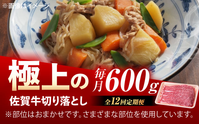 【12回定期便】佐賀牛 切り落とし 600g /MKミート武雄 [UEM033]