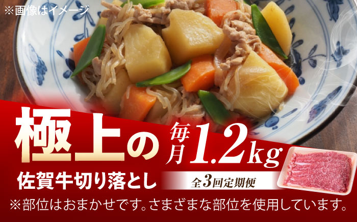 【3回定期便】佐賀牛 切り落とし 1.2kg（600g×2p） /MKミート武雄 [UEM035]