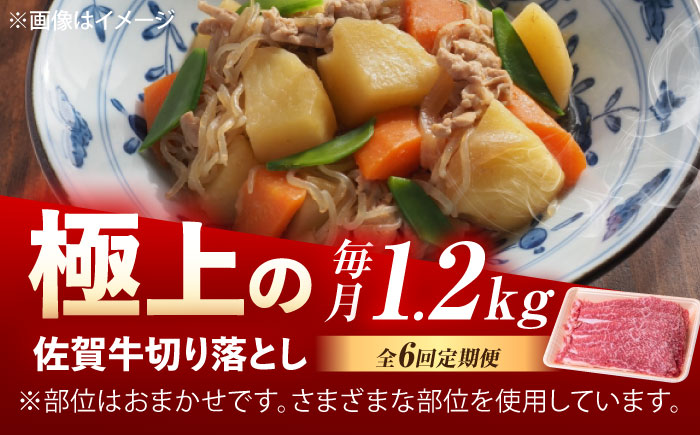 【6回定期便】佐賀牛 切り落とし 1.2kg（600g×2p） /MKミート武雄 [UEM036]