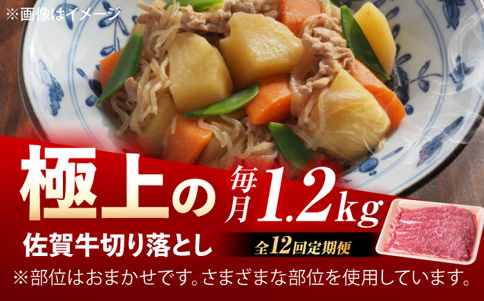 【12回定期便】佐賀牛 切り落とし 1.2kg（600g×2p） /MKミート武雄 [UEM037]