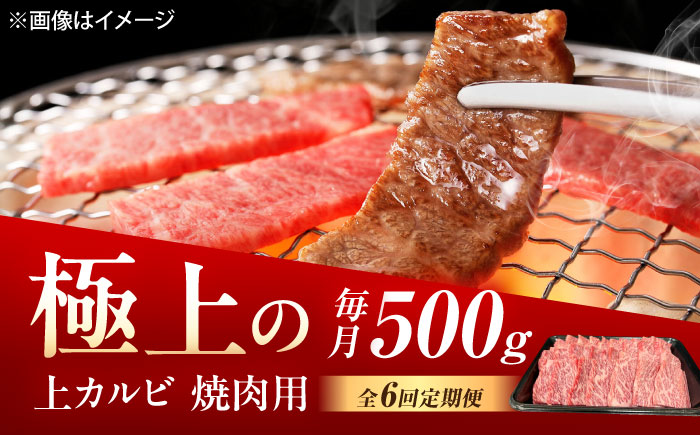 【6回定期便】佐賀牛 上カルビ 焼肉用 500g /MKミート武雄 [UEM051]