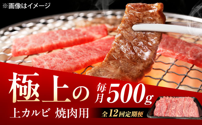 【12回定期便】佐賀牛 上カルビ 焼肉用 500g /MKミート武雄 [UEM052]