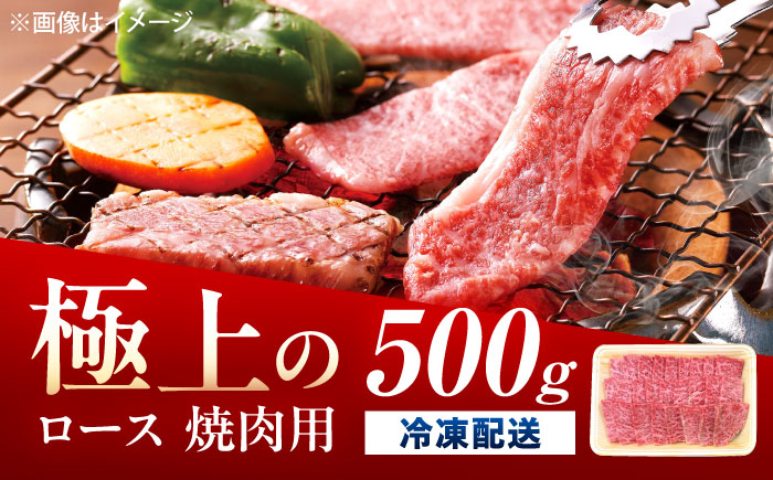 佐賀牛 ロース 焼肉用 500g /MKミート武雄 [UEM054]