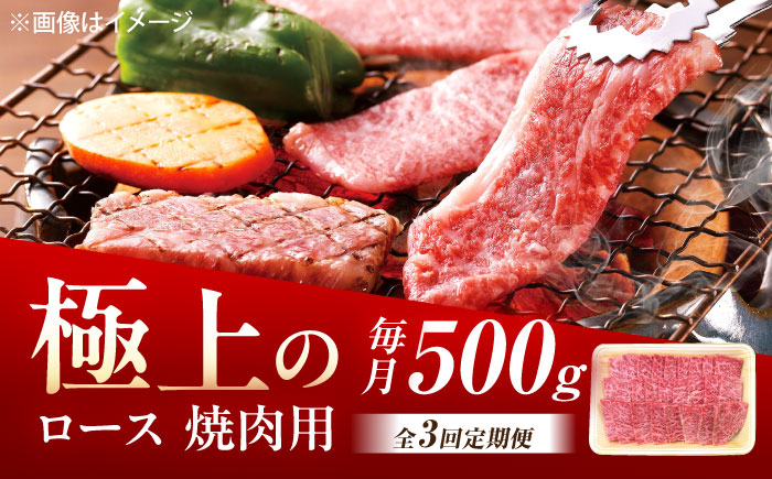 【3回定期便】佐賀牛 ロース 焼肉用 500g /MKミート武雄 [UEM055]