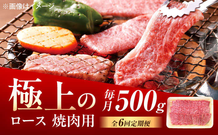 【6回定期便】佐賀牛 ロース 焼肉用 500g /MKミート武雄 [UEM056]