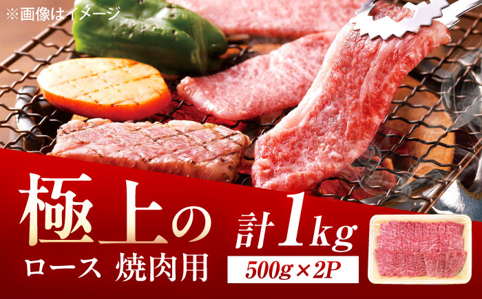 佐賀牛 ロース 焼肉用 1kg（500g×2p） /MKミート武雄 [UEM058]