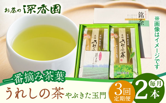【3回定期便】一番摘み茶葉使用 うれしの茶 2本入（やぶきた 玉門 100g×2本） /お茶の深香園 [UAF007] 茶 お茶 緑茶 日本茶 煎茶