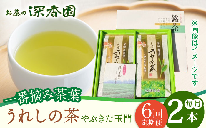【6回定期便】一番摘み茶葉使用 うれしの茶 2本入（やぶきた 玉門 100g×2本） /お茶の深香園 [UAF008] 茶 お茶 緑茶 日本茶 煎茶