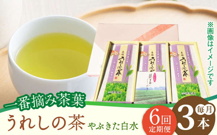 【6回定期便】一番摘み茶葉使用 うれしの茶 3本入（やぶきた 白水 100g×3本） /お茶の深香園 [UAF012] 茶 お茶 緑茶 日本茶 煎茶