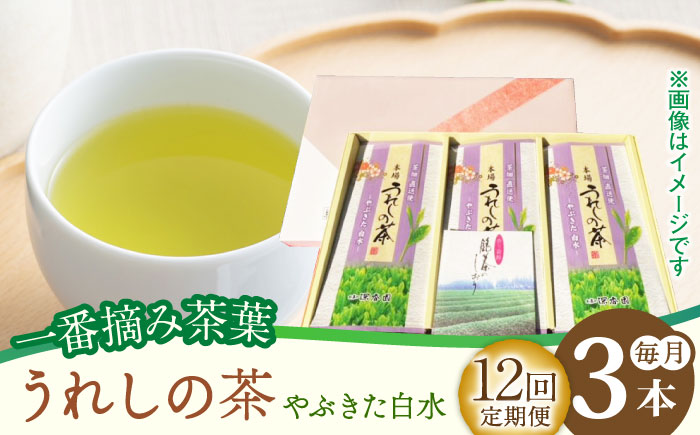 【12回定期便】一番摘み茶葉使用 うれしの茶 3本入（やぶきた 白水 100g×3本） /お茶の深香園 [UAF013] 茶 お茶 緑茶 日本茶 煎茶