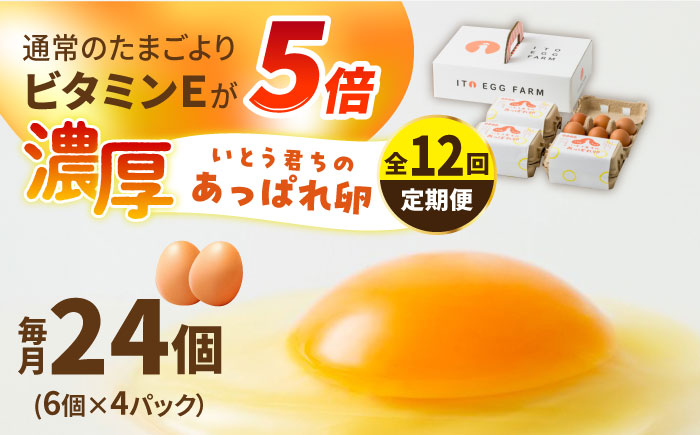 【12回定期便】いとう君ちのあっぱれ卵 24個（6個×4パック）ギフトBOX /いとう養鶏場 [UAQ011] 卵 たまご 鶏卵
