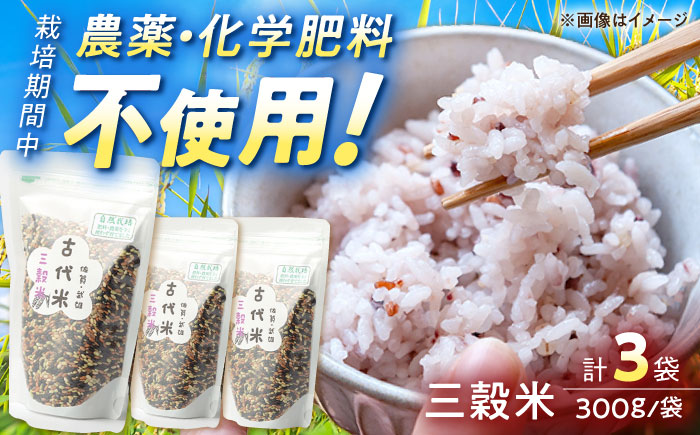【自然農法で育てた】 古代米 三穀米 （黒米・赤米・緑米） 900g（300g×3袋）/永尾 忠則 [UAS002] 雑穀 雑穀米 米 お米