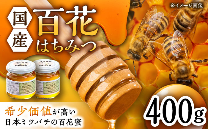 コクと味わい深い甘み】日本蜜蜂 百花 はちみつ 計400g（200g×2）純粋蜂蜜 /永尾 忠則 [UAS004] 蜂蜜 ハチミツ 日本ミツバチ:  武雄市ANAのふるさと納税