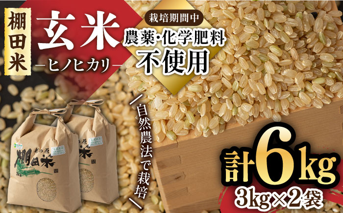 自然農法で育てた特別栽培米 令和7年産 新米 ヒノヒカリ 玄米 6kg（3kg×2袋）/永尾 忠則 [UAS006]