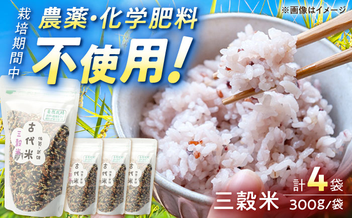 【12月25日入金まで年内発送】【自然農法で育てた】古代米 三穀米 1.2kg（300g×4袋）/永尾 忠則 [UAS008] 雑穀 雑穀米 米 お米