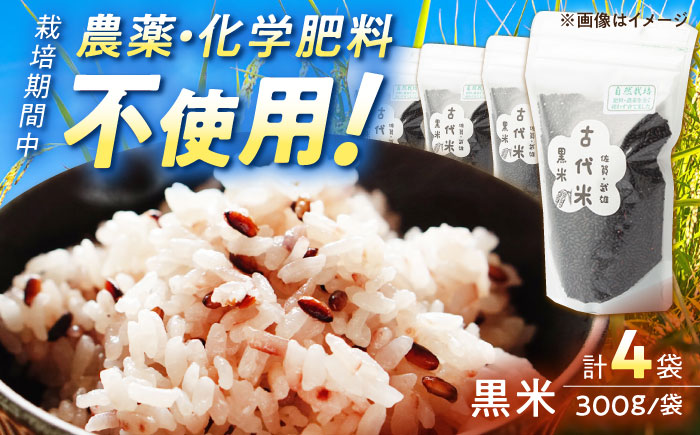 【12月25日入金まで年内発送】【自然農法で育てたやさしい甘み】古代米 黒米 1.2kg（300g×4袋）/永尾 忠則 [UAS010] 雑穀 雑穀米 米 お米