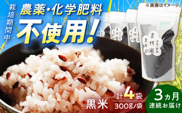 【3回定期便】自然農法で育てた 古代米 黒米 1.2kg（300g×4袋）/永尾 忠則 [UAS017] 雑穀 雑穀米 米 お米