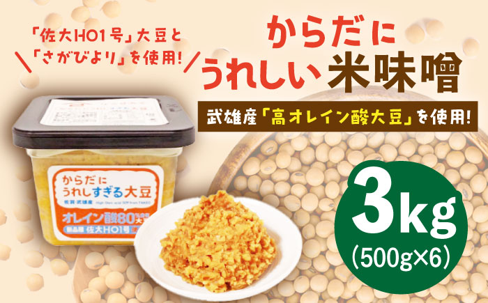 【米の甘味が広がるヘルシーお味噌】からだにうれしい 米味噌 500g×6個（高オレイン酸大豆使用）なるせみそ /角味噌醤油 [UAX002]