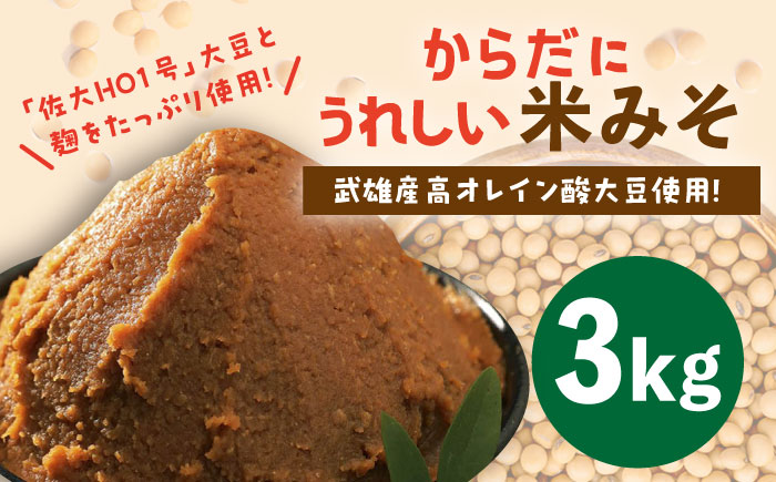 【米の甘味が広がるヘルシーお味噌】 からだにうれしい 米味噌 3kg （高オレイン酸大豆使用・佐賀県産さがびより仕込）なるせみそ /角味噌醤油 [UAX009]