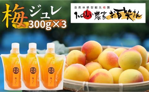 【爽やかな酸味と甘み】 梅ジュレ セット /お百笑さん [UAZ001] 梅 加工品