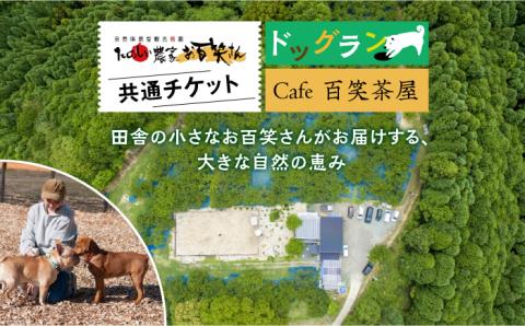 【愛犬と楽しいひと時を！】Cafe 百笑茶屋＆ドッグランで使える共通 チケット /お百笑さん [UAZ002] 体験 食事券 チケット