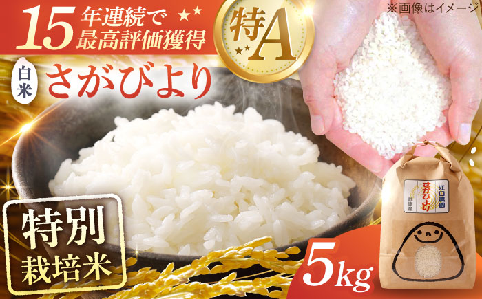 【1月発送】＜15年連続特A評価＞新米 令和7年産 さがびより 白米 5kg 配送前精米 /江口農園 [UBF003] 白米 米 お米 精米 佐賀県産 特A