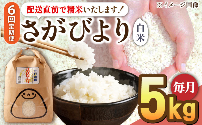 【11月発送開始】【6回定期便】令和6年産 さがびより 白米 5kg＜15年連続特A評価＞ 配送前精米/江口農園 [UBF007] さがびより 白米 米 お米 精米 佐賀県産 特A