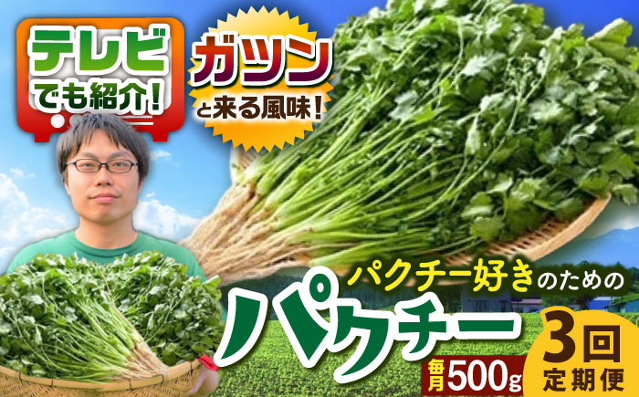 【3回定期便】本場タイ人が認めた パクチー好きのためのパクチー 500g /江口農園[UBF030] 野菜 パクチー 本場のパクチー パクチー定期便 野菜定期便