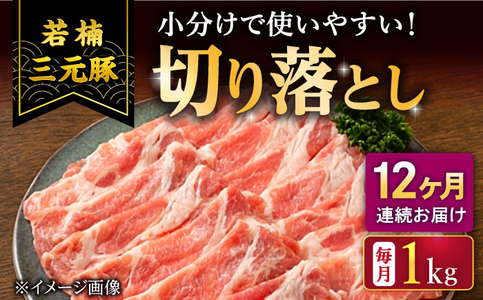 【2026年2月開始】【12回定期便】若楠三元豚 切り落とし 1kg（250g×4パック）/ナチュラルフーズ [UBH076]