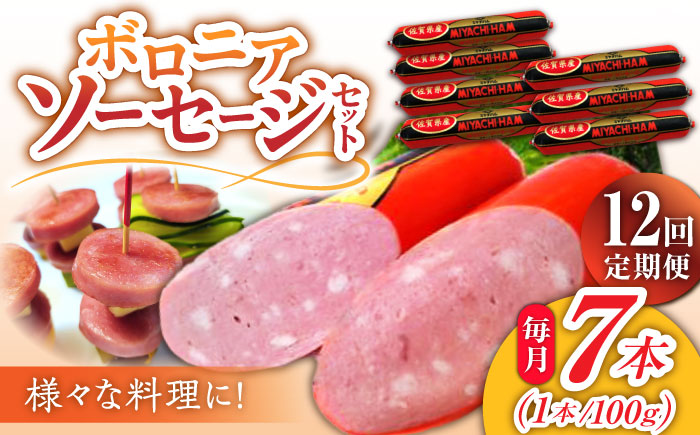 【12回定期便】宮地ハムのロングセラー ボロニアソーセージ 100g×7本 /宮地ハム [UBM013] 豚肉 豚 肉 ソーセージ