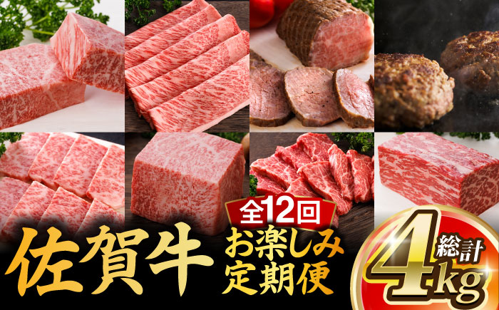 【全12回】 A5ランク 佐賀牛 霜降り 食べ比べ 定期便 約2人前 総計4kg /焼肉どすこい [UCC002] 最高級 牛肉 肉 ステーキ スライス ローストビーフ ハンバーグ