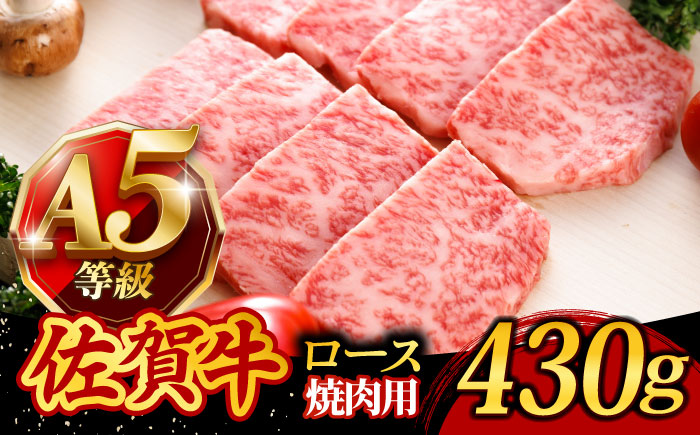 A5ランク 佐賀牛 高級 霜降り 焼肉用 ロース 430g 2人前 /焼肉どすこい[UCC014] 牛肉 肉 BBQ