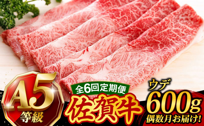 【6回定期便・偶数月にお届け】 佐賀牛 A5 すき焼き しゃぶしゃぶ 600g ウデ /焼肉どすこい [UCC017] 牛肉 肉 赤身 うで スライス