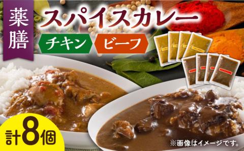 【こだわりの玉ねぎと32種のスパイス！】 薬膳 スパイスカレー ファミリー セット /自然庵 [UCQ003] カレー レトルト 鶏肉 鶏 チキン 牛肉 牛 ビーフ
