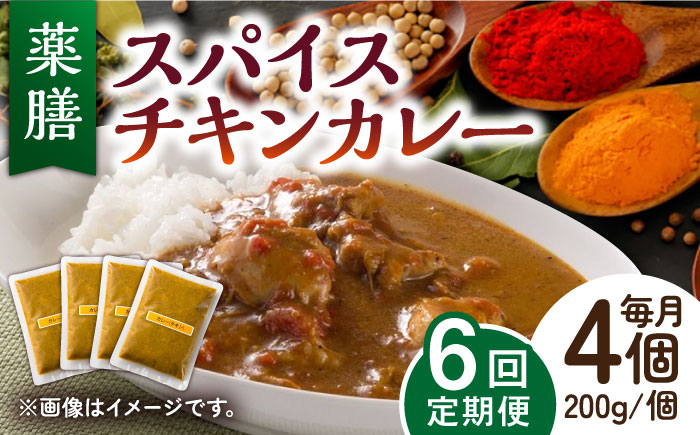 【6回定期便】薬膳スパイスチキンカレー 4食（200g×4） /自然庵 [UCQ005] カレー レトルト 鶏肉 鶏 チキン