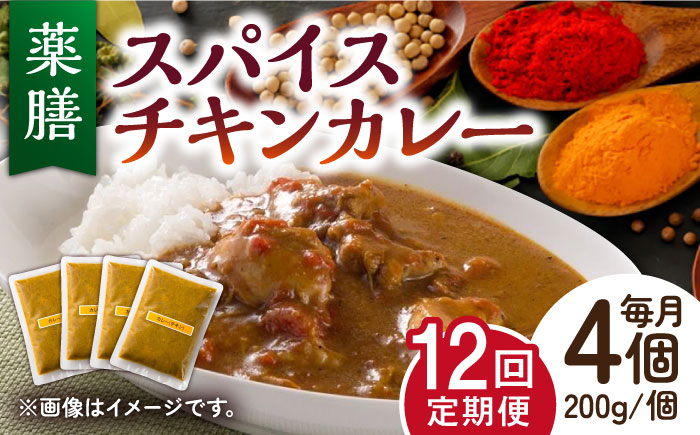 【12回定期便】薬膳スパイスチキンカレー 4食（200g×4） /自然庵 [UCQ006] カレー レトルト 鶏肉 鶏 チキン