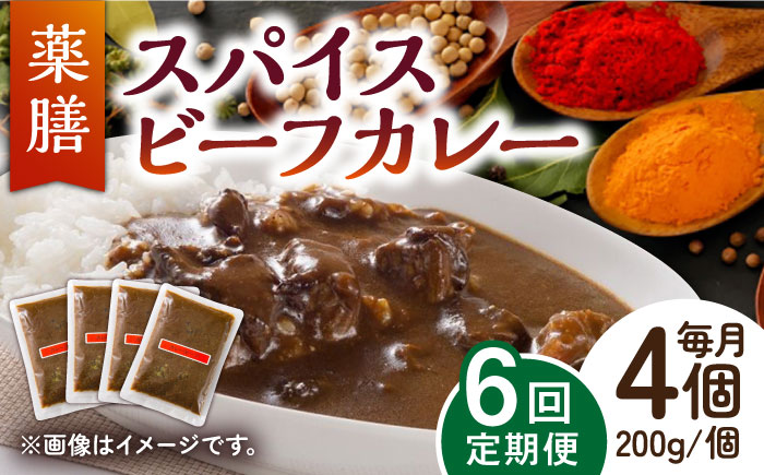 【6回定期便】薬膳スパイスビーフカレー 4食（200g×4） /自然庵 [UCQ008] カレー レトルト 牛肉 牛 ビーフ