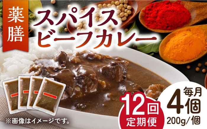 【12回定期便】薬膳スパイスビーフカレー 4食（200g×4） /自然庵 [UCQ009] カレー レトルト 牛肉 牛 ビーフ