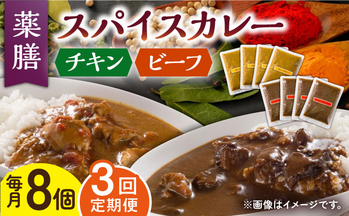 【3回定期便】薬膳スパイスカレー ファミリーセット（チキンカレー 4食 ビーフカレー 4食） /自然庵 [UCQ010] カレー レトルト 鶏肉 鶏 チキン 牛肉 牛 ビーフ