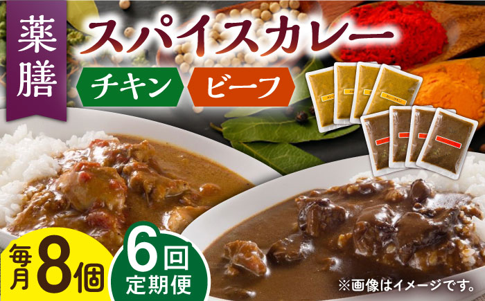 【6回定期便】薬膳スパイスカレー ファミリーセット（チキンカレー 4食 ビーフカレー 4食） /自然庵 [UCQ011] カレー レトルト 鶏肉 鶏 チキン 牛肉 牛 ビーフ