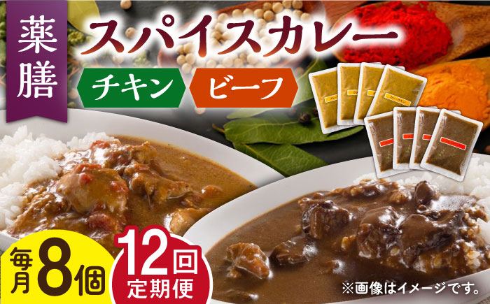【12回定期便】薬膳スパイスカレー ファミリーセット（チキンカレー 4食 ビーフカレー 4食） /自然庵 [UCQ012] カレー レトルト 鶏肉 鶏 チキン 牛肉 牛 ビーフ