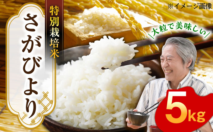 【特別栽培米！】令和7年産 新米 さがびより 5kg 武雄市橘産 /よしたか農園 [UCY001] 白米 米 お米 こめ 精米 ブランド米